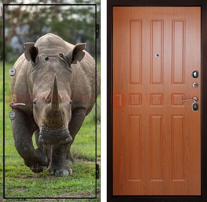 Металлическая дверь с фотопечатью носорога ДФ-31 в Смоленске