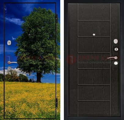 Железная дверь с фотопечатью дерева в поле ДФ-36 в Котельниках
